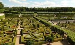 Blick in den schön angelegten Terrassengarten des Schlosses Villandry