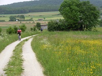 Zwei Radler fahren auf einem weißen Schotterweg im UNESCO-Biosphärenreservat Schwäbische Alb an einer prächtigen Blumenwiese vorbei.