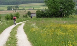 Zwei Radler fahren auf einem weißen Schotterweg im UNESCO-Biosphärenreservat Schwäbische Alb an einer prächtigen Blumenwiese vorbei.