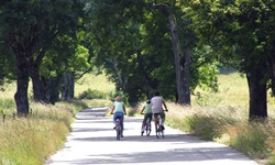 Eine Familie radelt auf einem asphaltierten Radweg durch das Biosphärengebiet Schwäbische Alb.