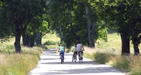 Eine Familie radelt auf einem asphaltierten Radweg durch das Biosphärengebiet Schwäbische Alb.