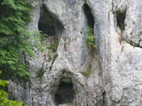 Zerklüftete Höhlen in den weißen Kalksteinfelsen des Großen Lautertals.