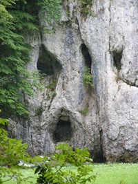 Zerklüftete Höhlen in den weißen Kalksteinfelsen des Großen Lautertals.