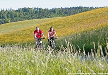 Zwei Fahrradfahrer auf einem Weg durch bunten Wiesenfelden