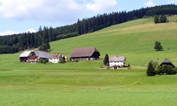 Das idyllisch gelegene Hotel Neubierhäusle bei Titisee-Neustadt.