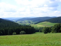 Herrlicher Panoramablick über die bewaldeten Höhenzüge des Nordschwarzwalds.