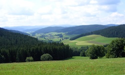 Herrlicher Panoramablick über die bewaldeten Höhenzüge des Nordschwarzwalds.