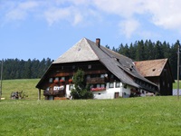 Ein typischer, abgelegener Schwarzwaldhof.