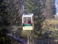 Eine Kabine der Schauinslandbahn bei Freiburg passiert auf ihrem Weg zum Gipfel beeindruckende Nadelbaumriesen.