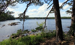 Eine Insel in Schweden, von der man auf weitere Inseln blicken kann
