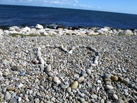 Ein Herz aus Steinen auf der Steinküste von Schweden