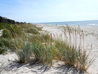Küste mit Sandstrand in Schweden