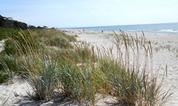 Küste mit Sandstrand in Schweden