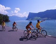 Vier Radler fahren auf der Schweizer Seenroute an einem See entlang.