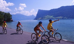 Vier Radler fahren auf der Schweizer Seenroute an einem See entlang.