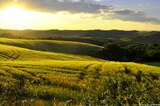 Blick über die schöne Landschaft von Siena in der Toskana