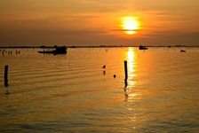 Stimmungsvoller Sonnenuntergang über der Lagune von Venedig.