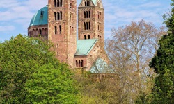 Die markanten Doppeltürme des Doms zu Speyer überragen die Bäume des Domgartens.