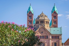 Blühender Oleander vor dem Dom zu Speyer.