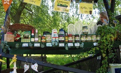 An einem Imbiss-Stand im Spreewald werden verschiedene örtliche Spezialitäten (u.a. Schmalzbrot und Gurken) angeboten.