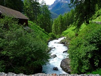 Ein zu Tal rauschender Gebirgsbach bei Guarda.