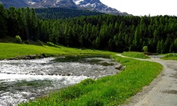 Der von Wiesen und Wäldern eingerahmte junge Inn bei St. Moritz.