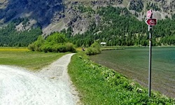 Der weiß gekieste Radweg führt direkt am Ufer der Oberengadiner Seen entlang.
