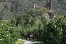 Eine Radlerin auf dem Etsch-Radweg passiert eine Burgruine, die sich über einer Obstplantage erhebt.