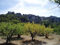 Blick über Bäume auf eine Felsenstadt in der Provence