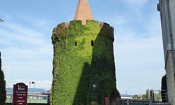 Der fast vollständig mit Efeu bewachsene Turm der Sieben Mäntel (oder auch Frautenturm) in Stettin.