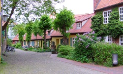 Eine begrünte Häuserzeile in Stralsund.
