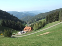 Ein herrliches Panorama über den Schwarzwald bietet der sogenannte "Strasbourgblick" bei Triberg.