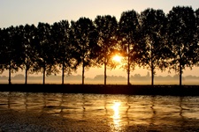 Sonnenuntergang über einer am Wasser gelegenen Allee in Südholland.