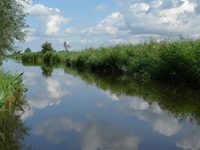 Idyllische Flusslandschaft in Südholland.