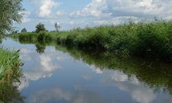 Idyllische Flusslandschaft in Südholland.