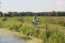 Eine Radlerin fährt auf Hollands Südroute an einem kleinen See entlang.