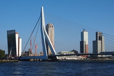 Die Skyline von Rotterdam mit der Erasmusbrücke.