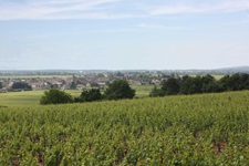 Weinberge und idyllisch gelegene Dörfer im romantischen Südburgund.