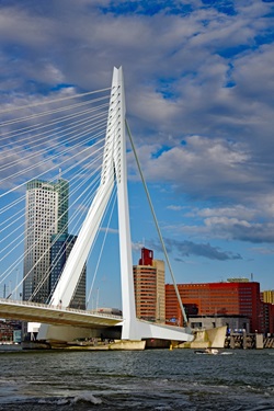 Die Erasmusbrücke in Rotterdam