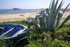 Strandidylle mit Ruderboot und Agaven.