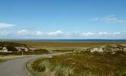 Blick über die Landschaft von Sylt bis hin zum Meer