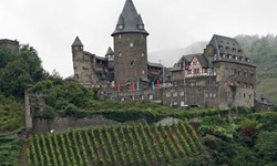 Die Höhenburg Klopp bei Bingen und unterhalb sind Weinreben zu sehen