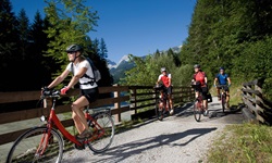 Vier Radfahrer sind vor einer malerischen Kulisse auf dem Tauern-Radweg unterwegs.
