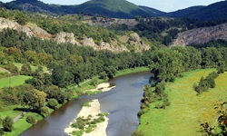 Blick auf den Fluss Berounka mit zwei Flussbetten in der Nähe von Tetin