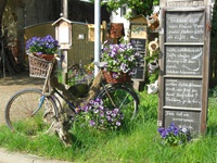 Ein mit Blumen geschmücktes Fahrrad lehnt an einem Laternenpfahl und lädt zur Besichtigung eines Gartens ein.