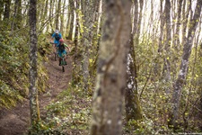 Zwei Mountainbiker fahren hintereinander eine durch Wald führende Downhillstrecke hinunter.