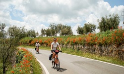 Zwei Radfahrer in der Toskana auf einem asphaltierten, von blühendem Klatschmohn gesäumten Radweg.