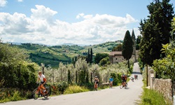 RadfahrerInnen auf einem asphaltierten, von Zypressen und Steinmäuerchen gesäumten Radweg in der Toskana. Im Hintergrund ist der Kirchturm eines Dorfes zu erkennen.