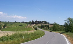 Eine Straße, die durch die toskanische Landschaft führt
