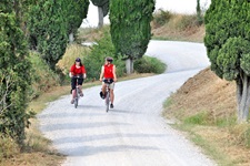 Zwei Radfahrer radeln auf einer Straße in der Toskana an Bäumen und Wiesen vorbei